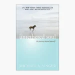 The Untethered Soul: The Journey Beyond Yourself Book by Michael Alan Singer