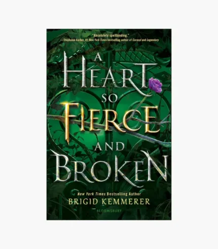 A Heart So Fierce and Broken Book by Brigid Kemmerer
