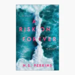 A Risk on Forever by N.S. Perkins