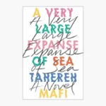 A Very Large Expanse of Sea by Tahereh Mafi