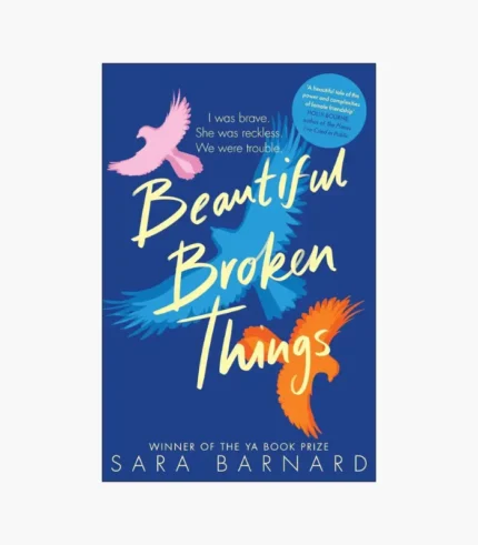 Beautiful Broken Things Book by Sara Barnard