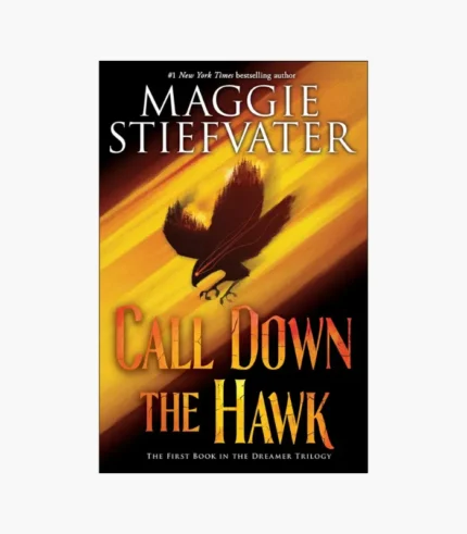 Call Down the Hawk Book by Maggie Stiefvater