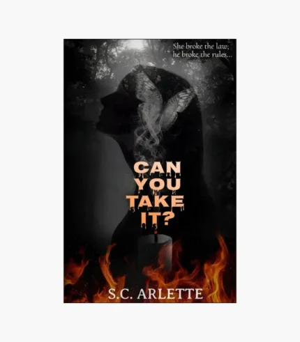 Can You Take It? by S.C. Arlette